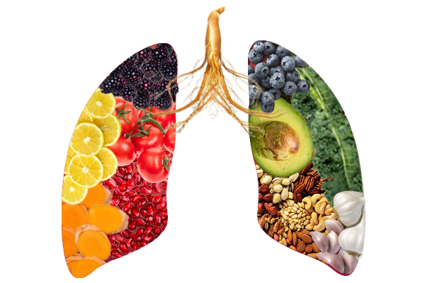 Diet Recommendations for Stage 4 Lung Cancer Patients - Onchohep